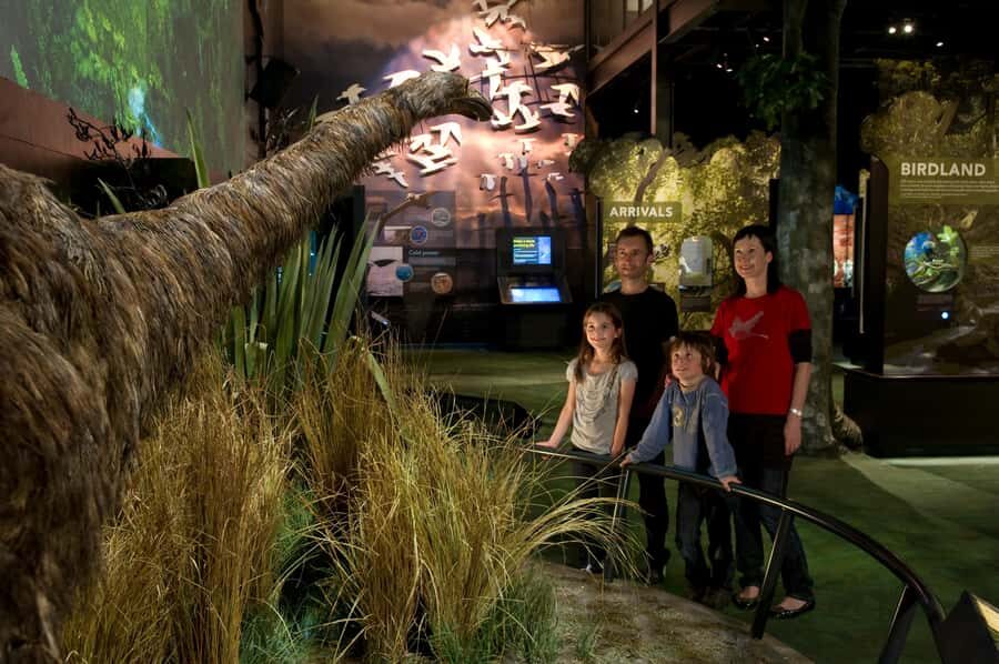Zealandia by Day Tour - Getting there: close to Wellington, with a few options