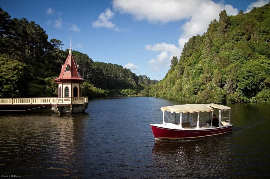 Zealandia by Day Tour - Predator-free conservation you can see in real time